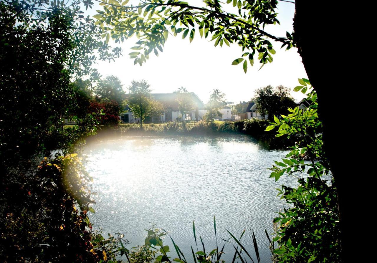 Spirit Of Hven Backafallsbyn Sankt Ibb ภายนอก รูปภาพ